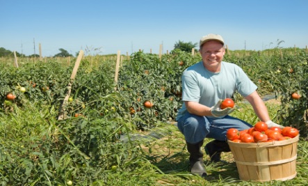dont-buy-organic Don't Buy Organic