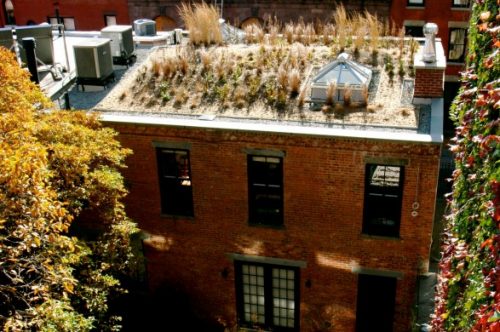 Green Roof by Convert