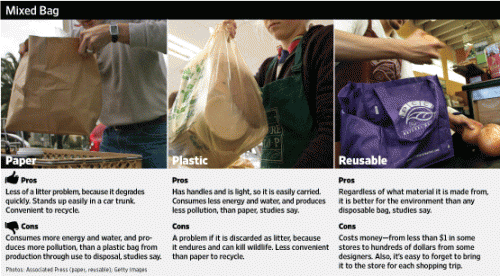 Paper or Plastic