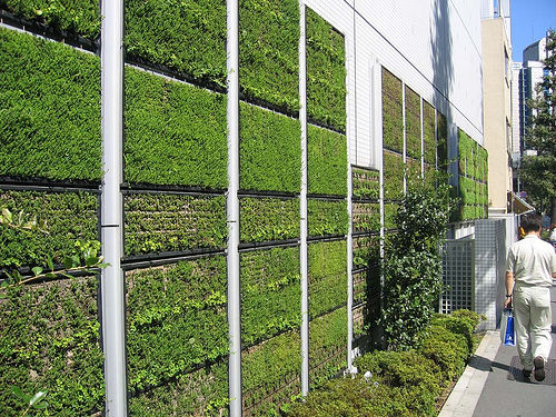 Living Green Wall