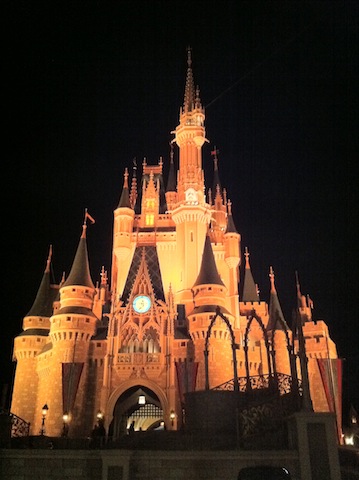 IMG_0823 Disney World