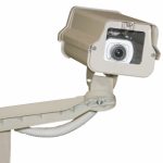 Your Landscaping Is Your First Line of Security at Hom