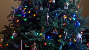 What to do With Your Christmas Tree after the Holidays