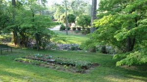 10 Tips for a Better Yard